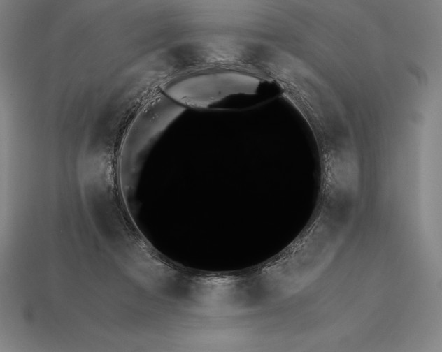 X0000115280313200911131834