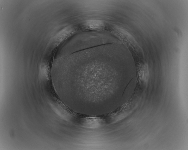 X0000115280316200911131834