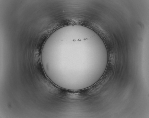 X0000115280318200911131834