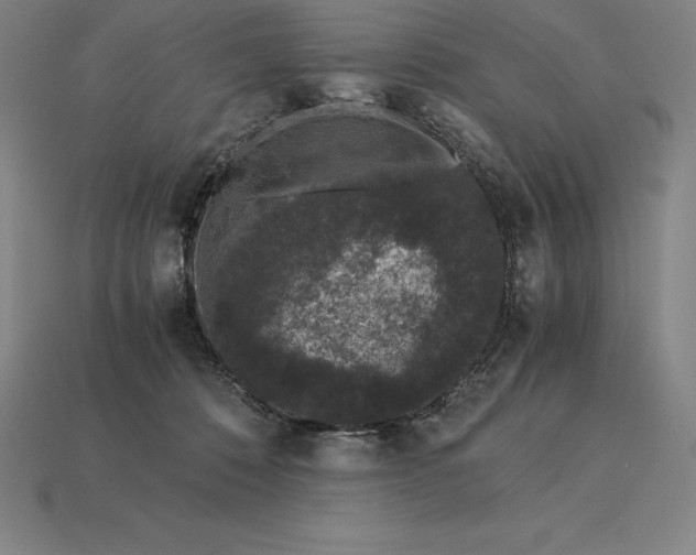 X0000115280320200911131834