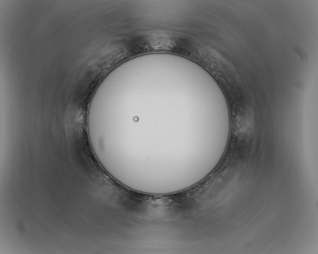 X0000115280321200911131834