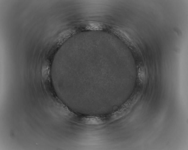 X0000115280322200911131834