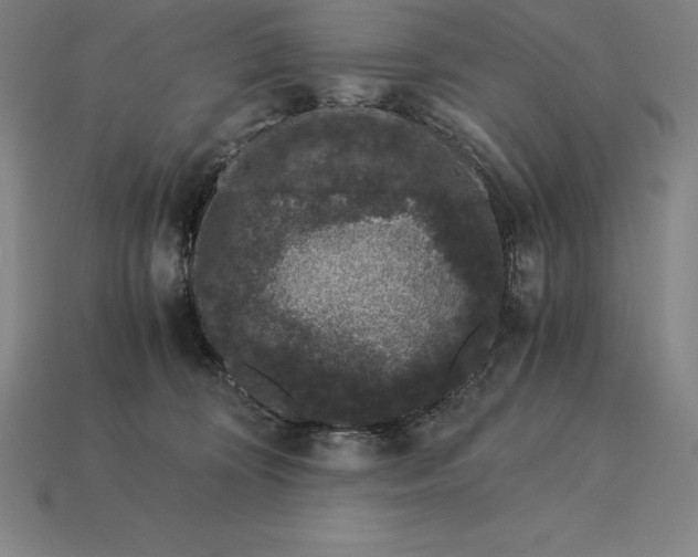 X0000115280324200911131834