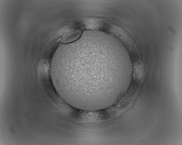 X0000115280329200911131834