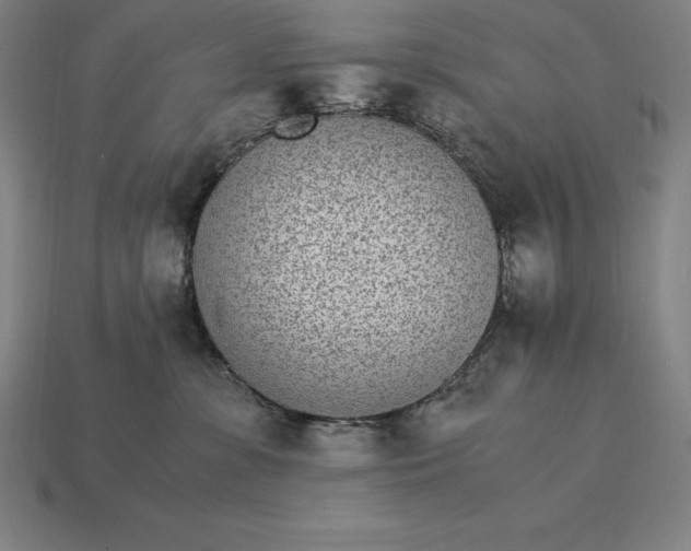 X0000115280331200911131834