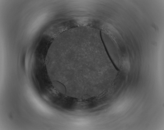 X0000115280335200911131834