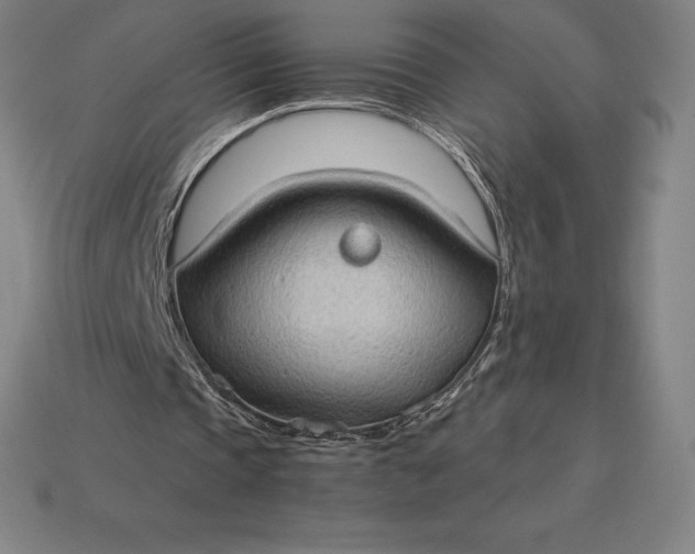 X0000115280337200911131833