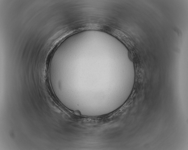 X0000115280338200911131833