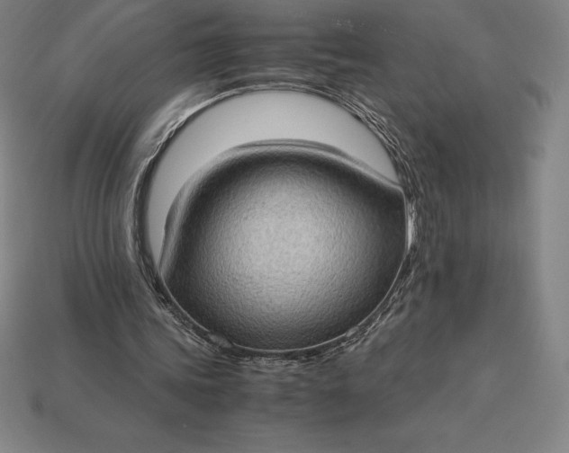 X0000115280339200911131833