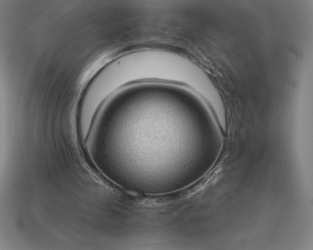 X0000115280341200911131833