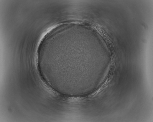 X0000115280342200911131833