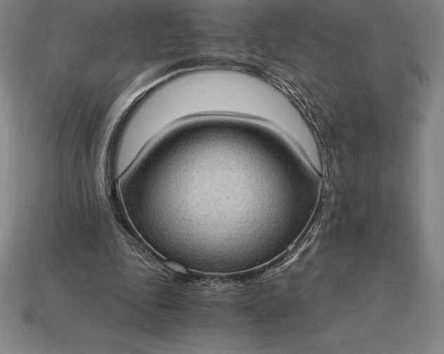 X0000115280343200911131833