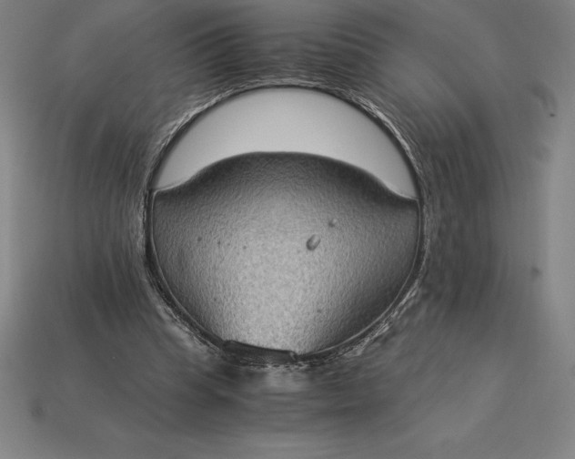 X0000115280345200911131833