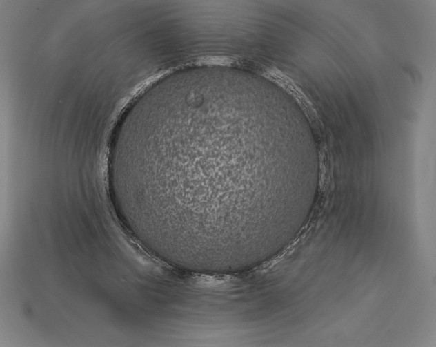 X0000115280346200911131833