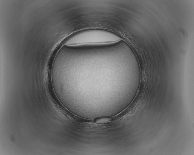 X0000115280347200911131833