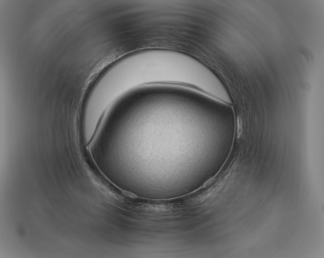 X0000115280349200911131833