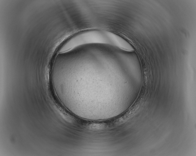 X0000115280350200911131833