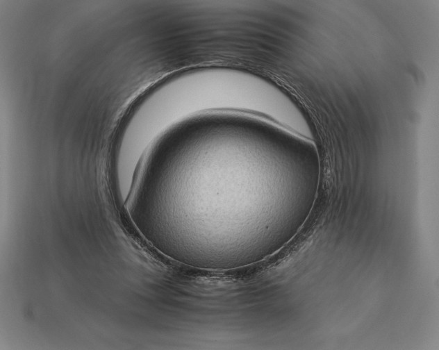 X0000115280351200911131833