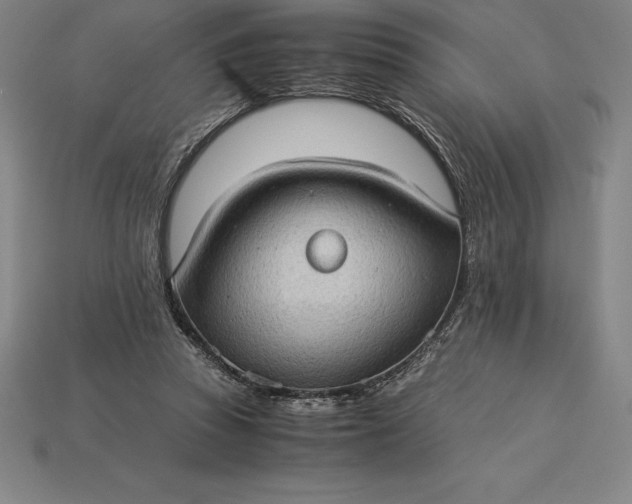 X0000115280353200911131833