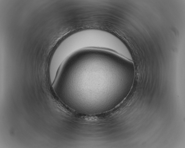 X0000115280355200911131833