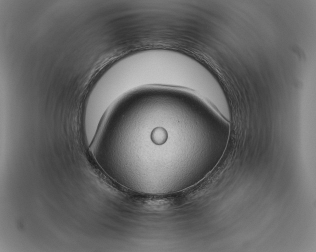 X0000115280357200911131833