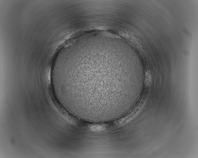 X0000115280358200911131833