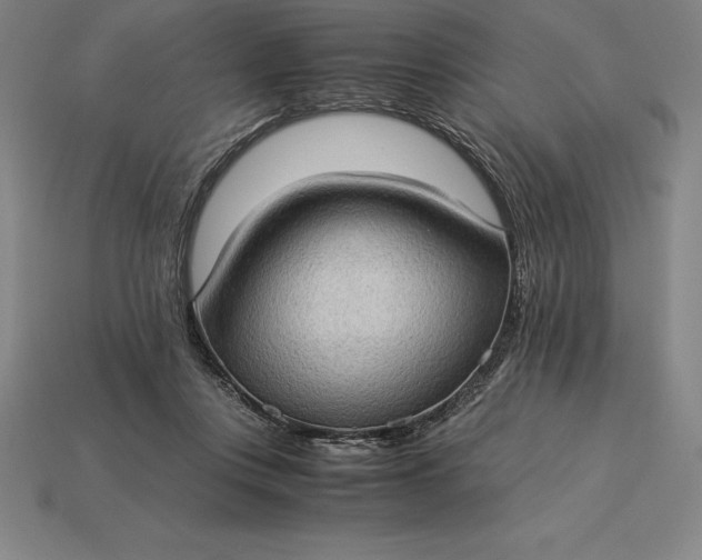 X0000115280359200911131833