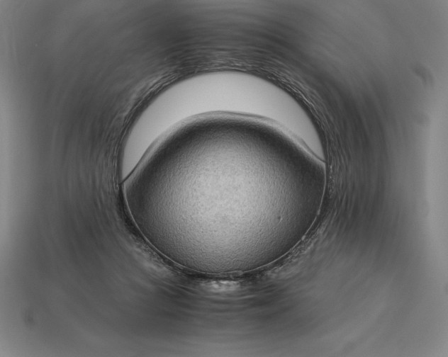 X0000115280361200911131833