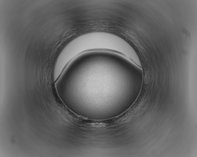 X0000115280363200911131833