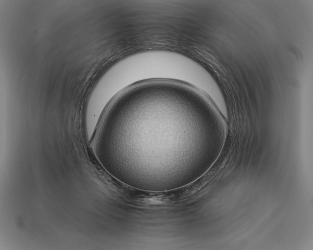 X0000115280365200911131833