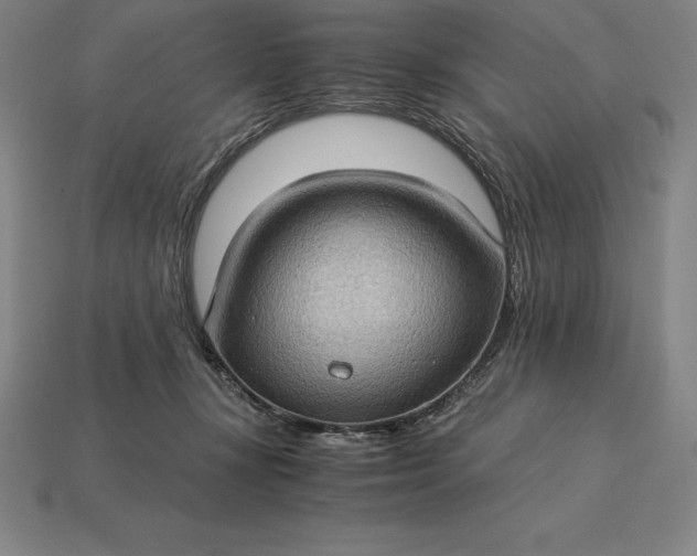 X0000115280367200911131834