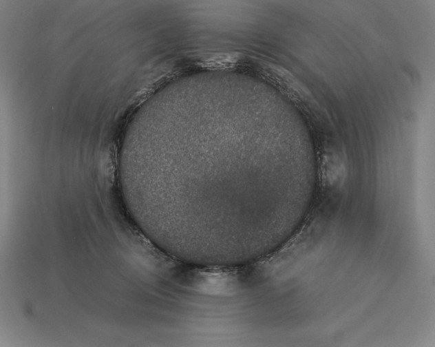 X0000115280370200911131834