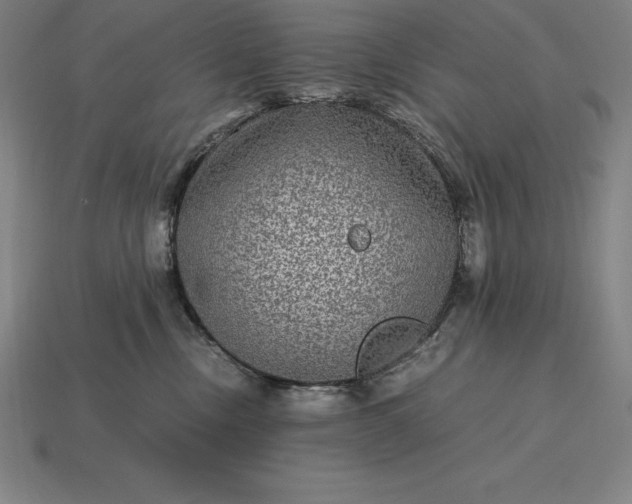 X0000115280378200911131834