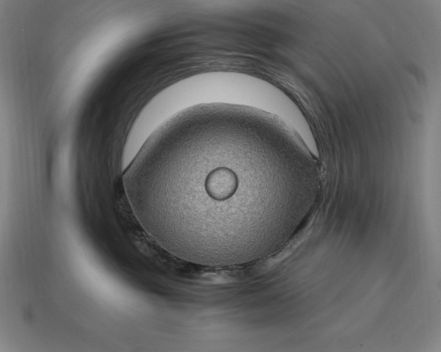 X0000115280381200911131834