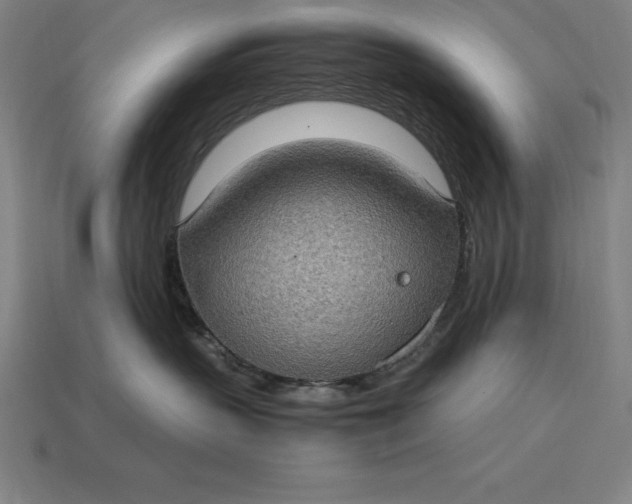 X0000115280383200911131834