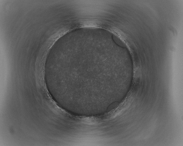 X0000115280385200911131833