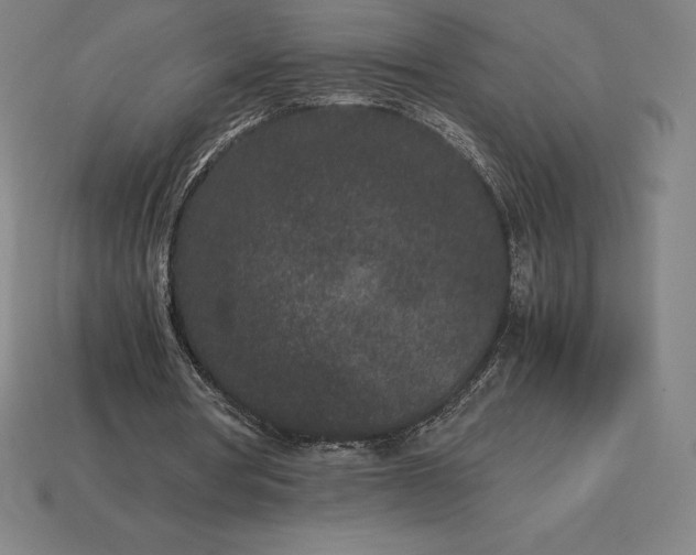 X0000115280386200911131833