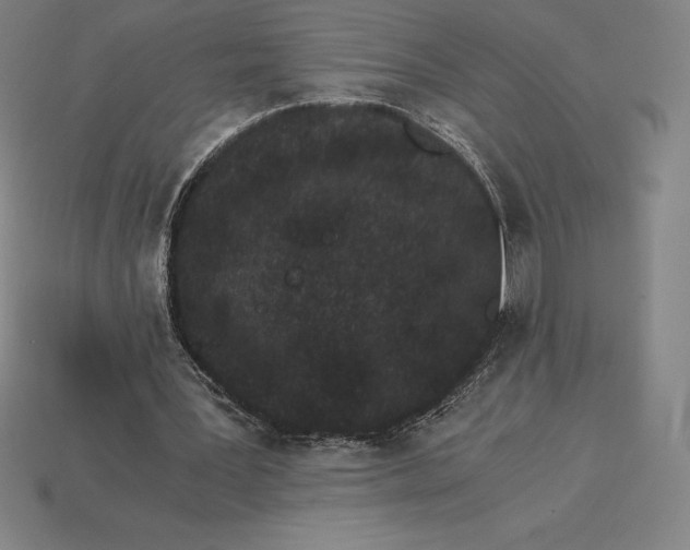 X0000115280387200911131833