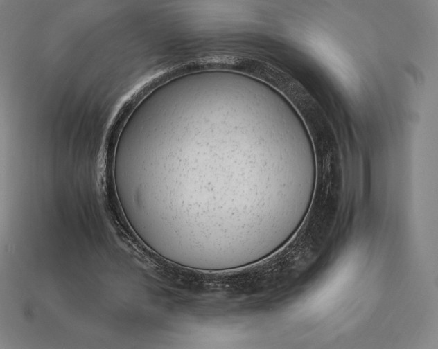 X0000115280388200911131833