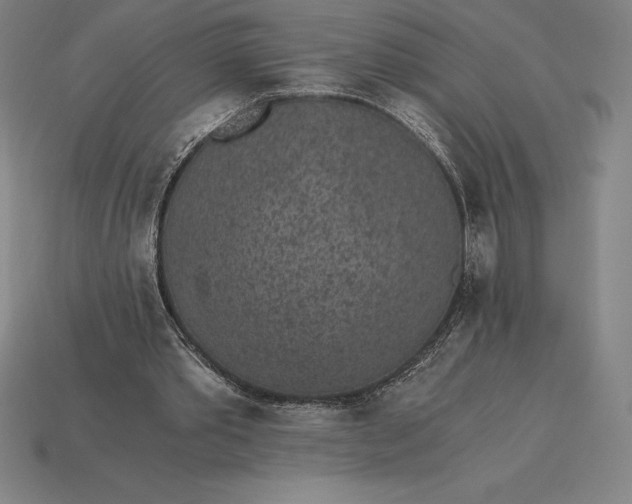 X0000115280389200911131833