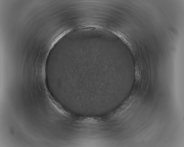 X0000115280390200911131833