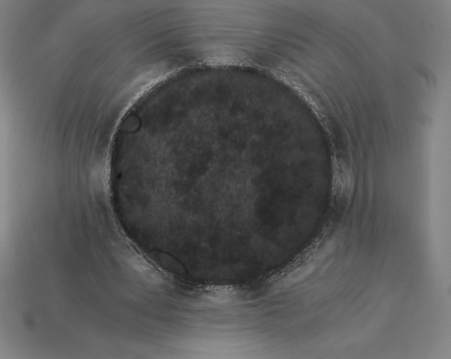 X0000115280391200911131833