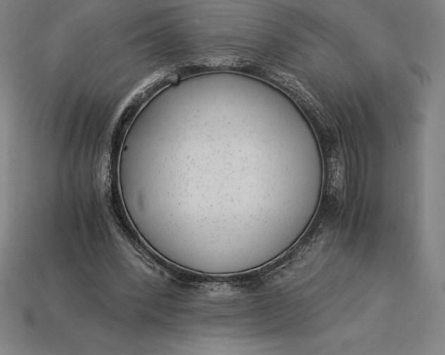 X0000115280392200911131833