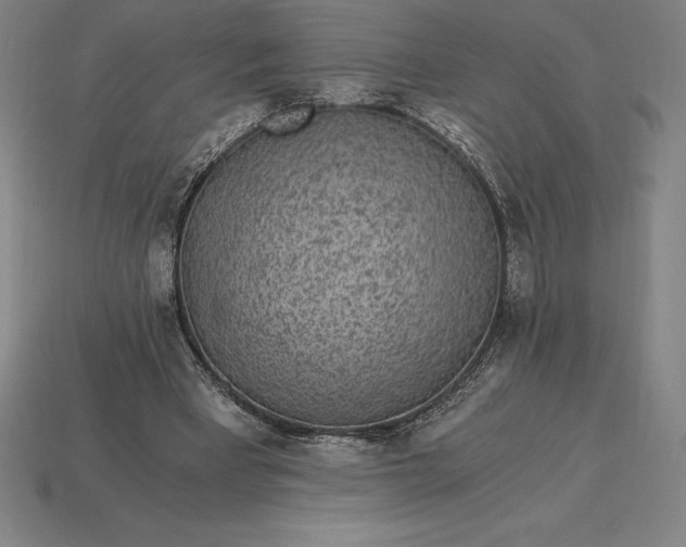 X0000115280393200911131833