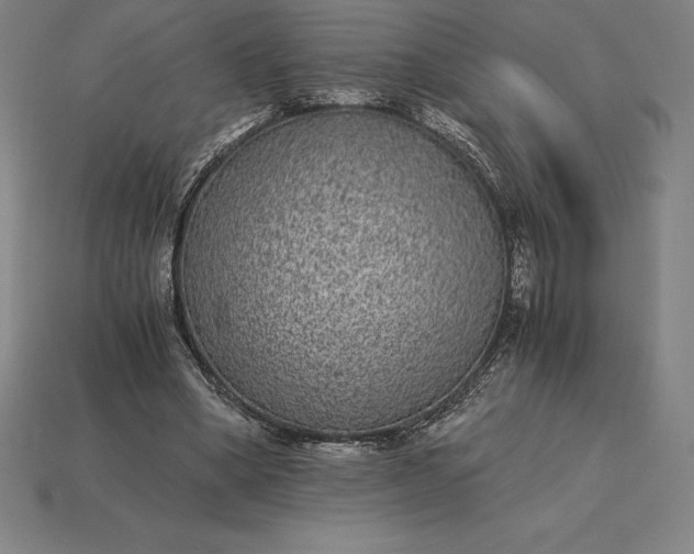 X0000115280394200911131833