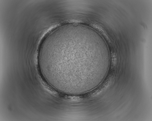 X0000115280395200911131833