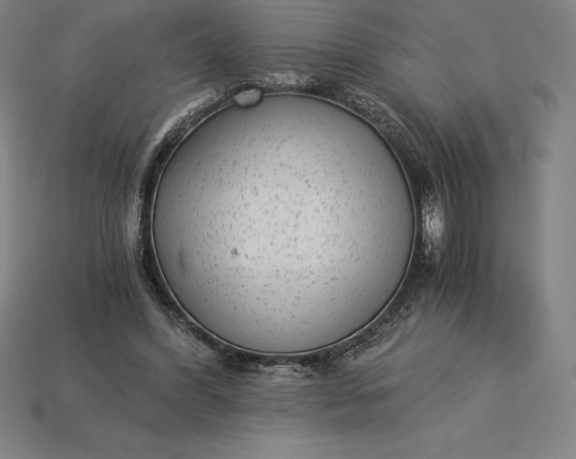 X0000115280396200911131833