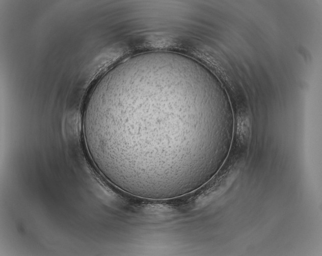 X0000115280397200911131833