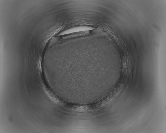 X0000115280398200911131833