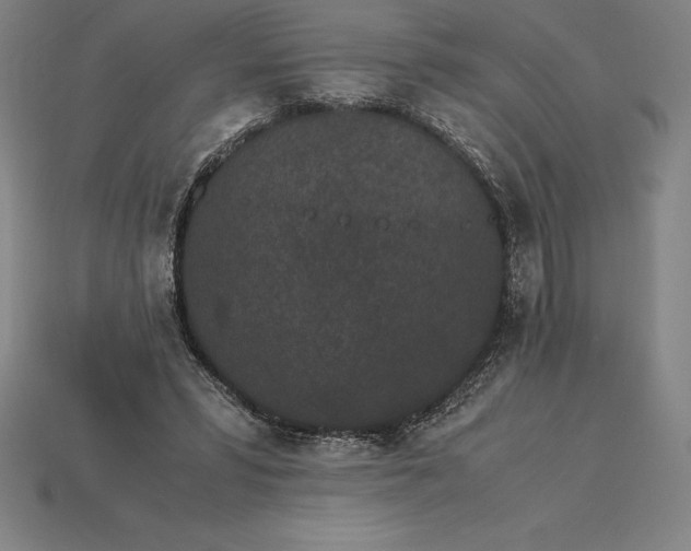 X0000115280399200911131833